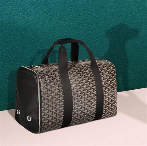 goyard dog.